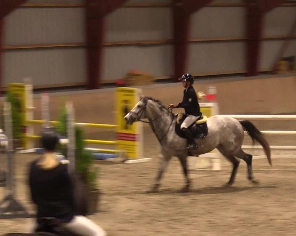 Reitturnier Behrendorf 2024