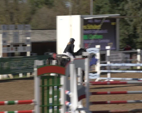 Reitturnier Teupitz 2024