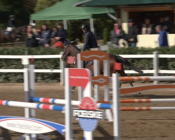 Reitturnier Teupitz 2024