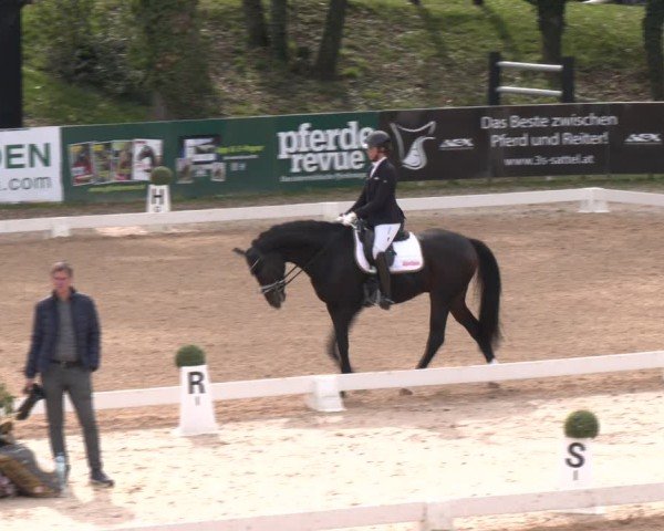 Reitturnier Stadl-Paura 2024