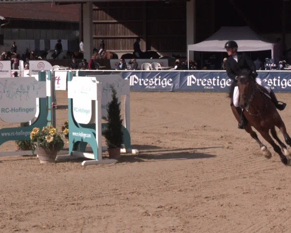 Reitturnier Ranshofen - Braunau am Inn 2024