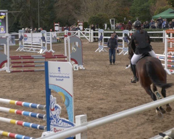 Reitturnier Teupitz 2024