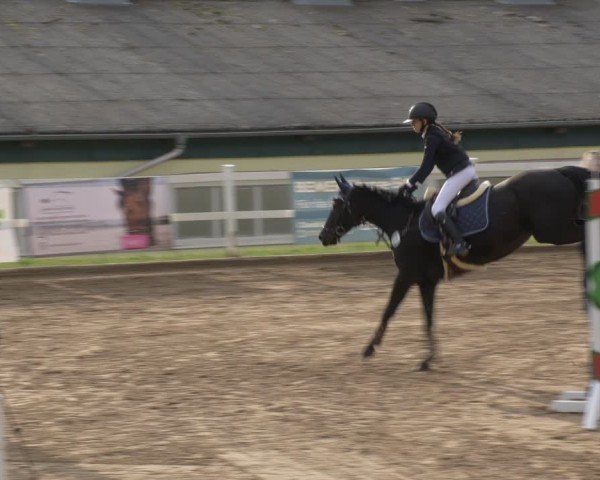 Reitturnier Teupitz 2024