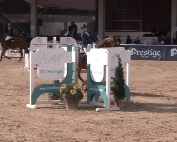 Reitturnier Ranshofen - Braunau am Inn 2024