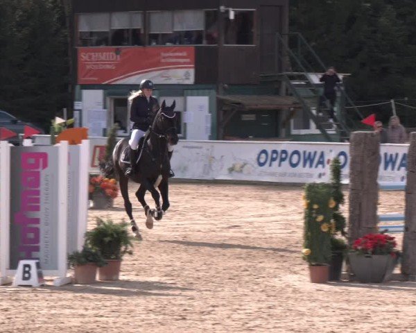 Reitturnier Ranshofen - Braunau am Inn 2024