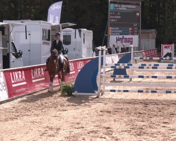 Reitturnier Ranshofen - Braunau am Inn 2024