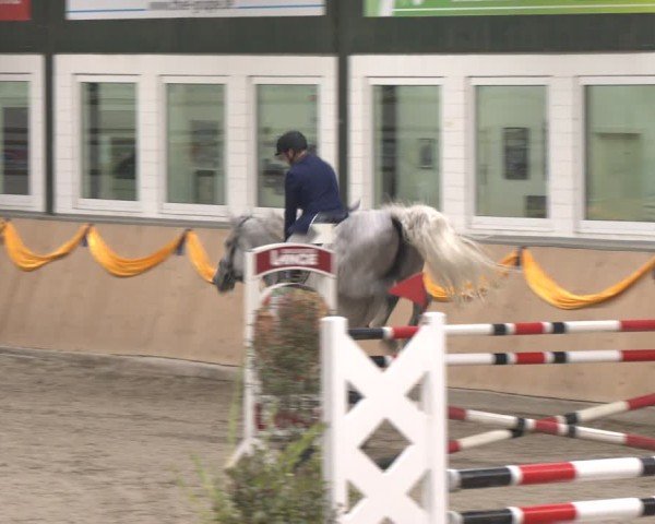 Reitturnier Salzkotten 2024