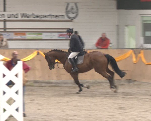 Reitturnier Salzkotten 2024