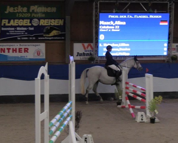 Reitturnier Gadebusch 2024