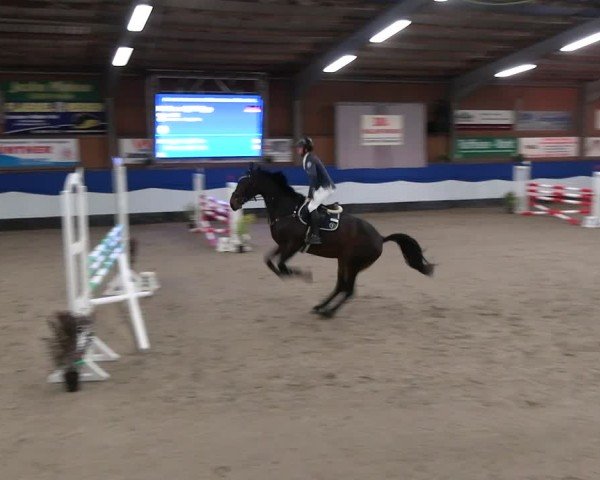 Reitturnier Gadebusch 2024