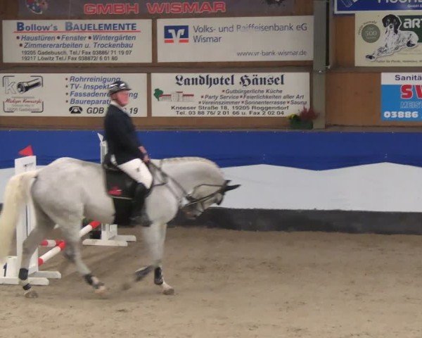 Reitturnier Gadebusch 2024