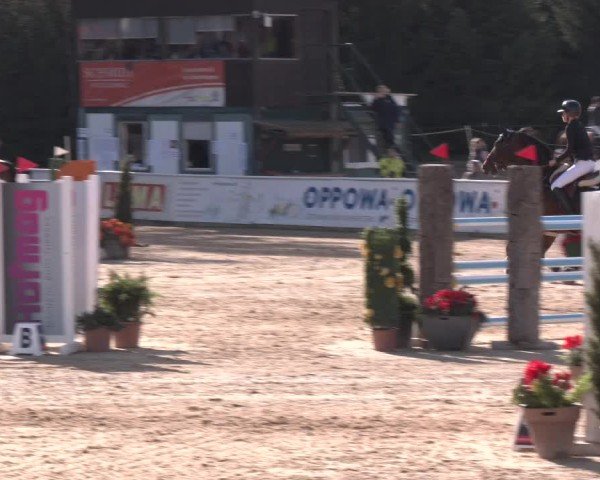 Reitturnier Ranshofen - Braunau am Inn 2024