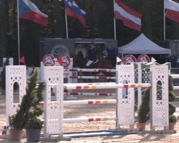 Reitturnier Ranshofen - Braunau am Inn 2024