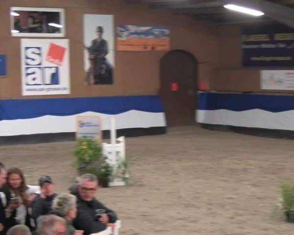 Reitturnier Gadebusch 2024