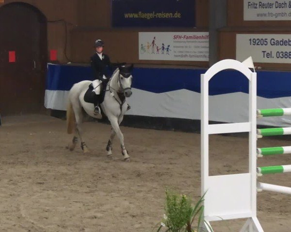 Reitturnier Gadebusch 2024