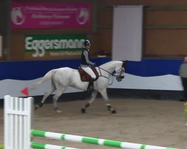 Reitturnier Gadebusch 2024