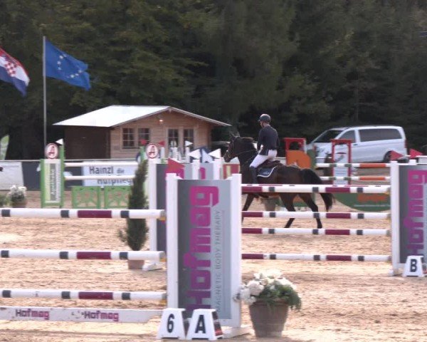Reitturnier Ranshofen - Braunau am Inn 2024
