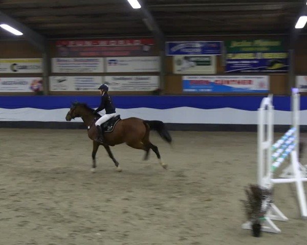 Reitturnier Gadebusch 2024