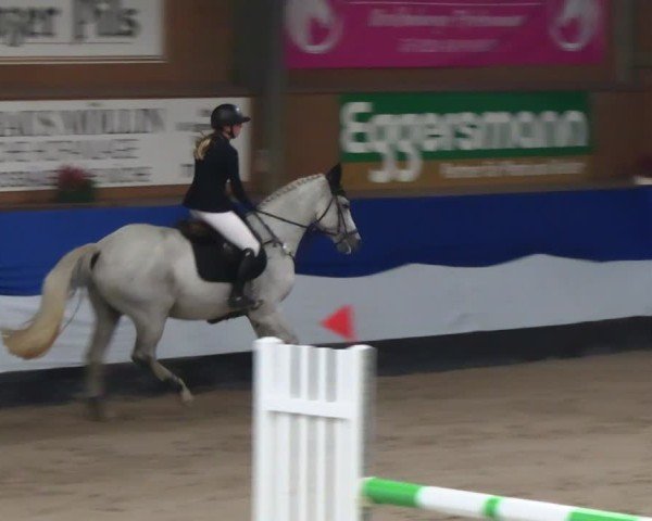 Reitturnier Gadebusch 2024