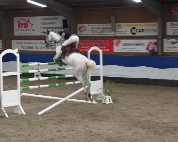 Reitturnier Gadebusch 2024