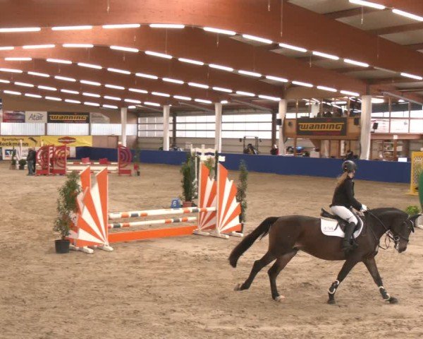 Reitturnier Isterberg 2024