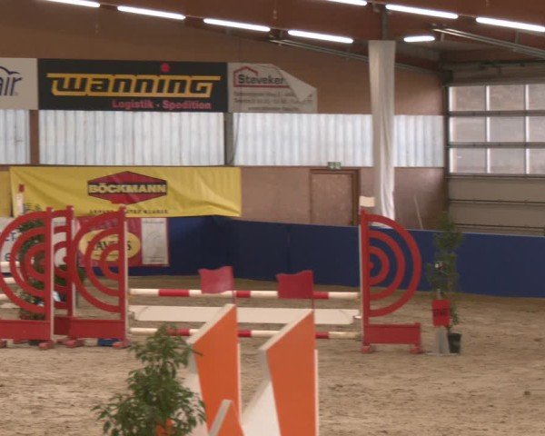 Reitturnier Isterberg 2024