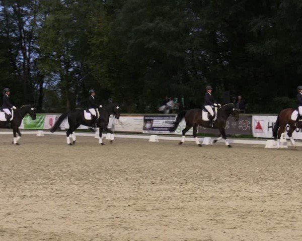 Reitturnier Ruhlsdorf 2024