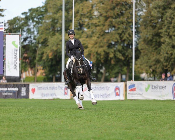 dressage horse Petit Rock my Life (German Riding Pony, 2015, from Proud Rocketti)