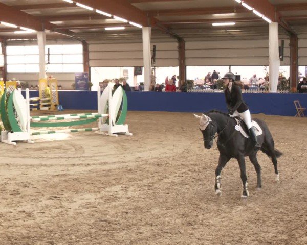 Reitturnier Isterberg 2024