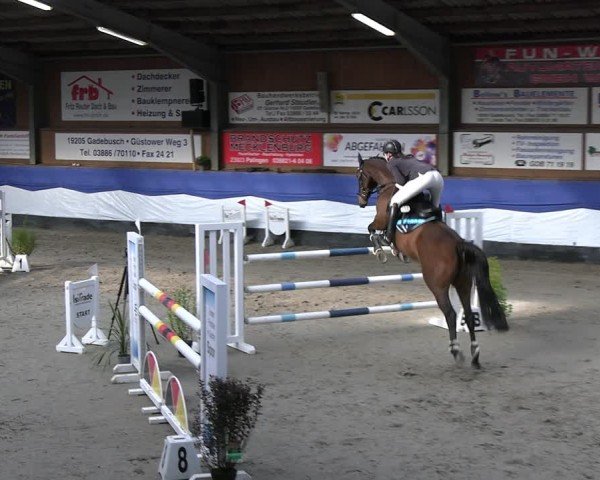 Reitturnier Gadebusch 2024