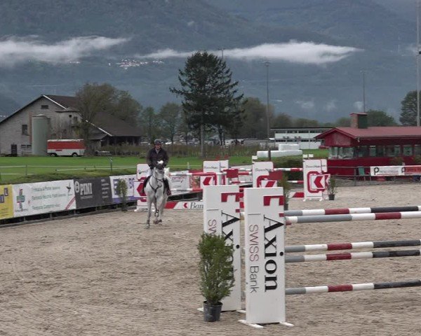 Reitturnier Giubiasco 2024