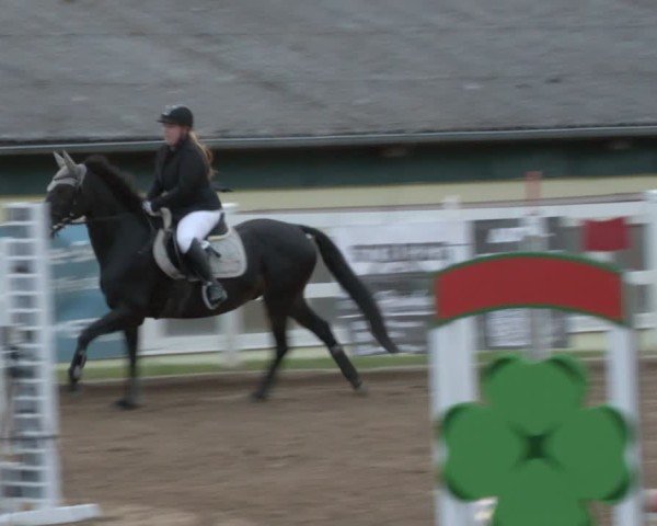 Reitturnier Teupitz 2024