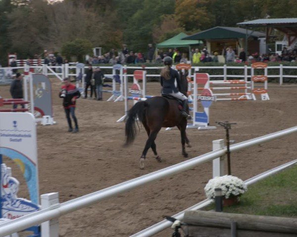 Reitturnier Teupitz 2024