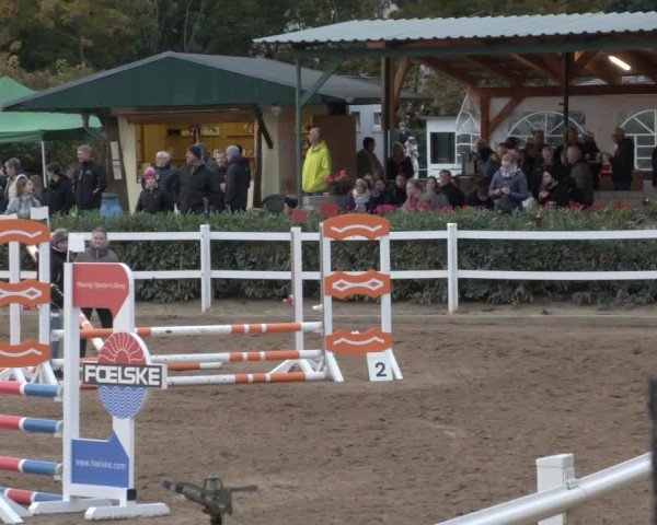Reitturnier Teupitz 2024