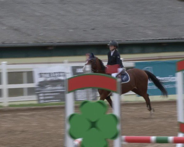 Reitturnier Teupitz 2024