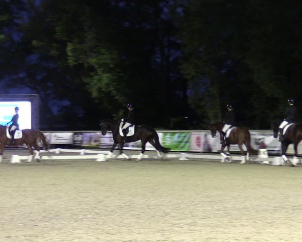 Reitturnier Ruhlsdorf 2024