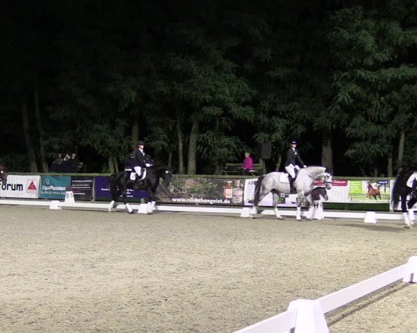 Reitturnier Ruhlsdorf 2024