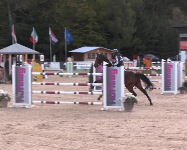 Reitturnier Ranshofen - Braunau am Inn 2024