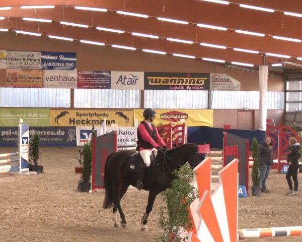 Reitturnier Isterberg 2024