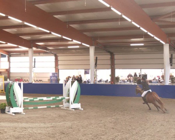 Reitturnier Isterberg 2024