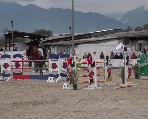 Reitturnier Giubiasco 2024