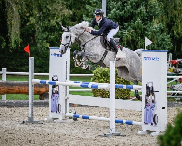 jumper Onilithya Keizersberg (KWPN (Royal Dutch Sporthorse), 2019, from Nixon van 't Meulenhof)