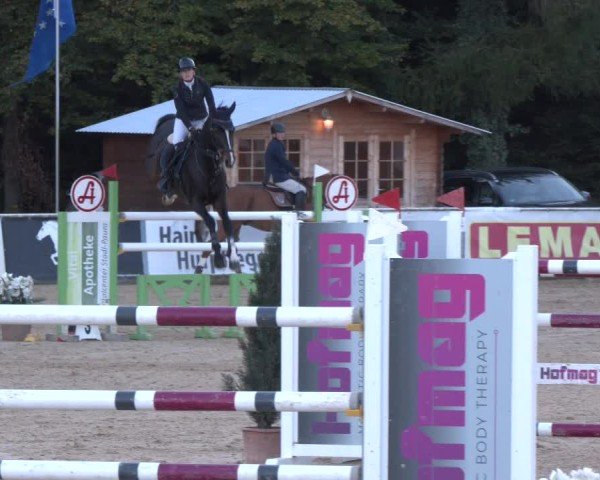 Reitturnier Ranshofen - Braunau am Inn 2024