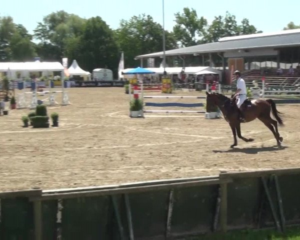 60. Lobbericher Reitsportfestival 01.-04.08.2013