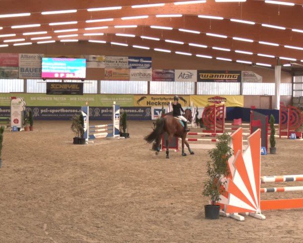 Reitturnier Isterberg 2024