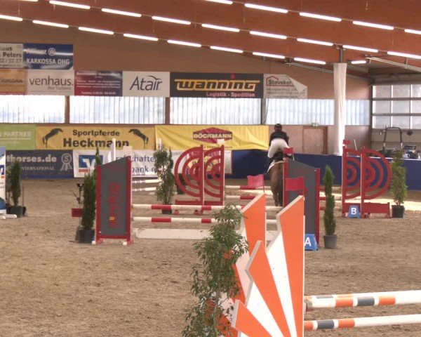 Reitturnier Isterberg 2024
