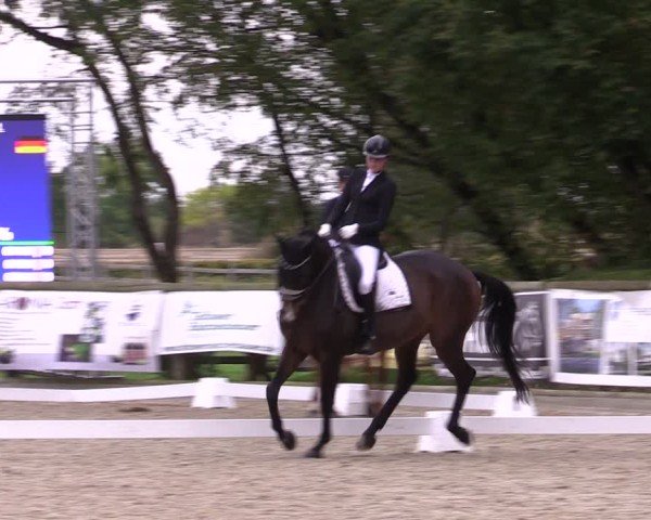 Reitturnier Ruhlsdorf 2024