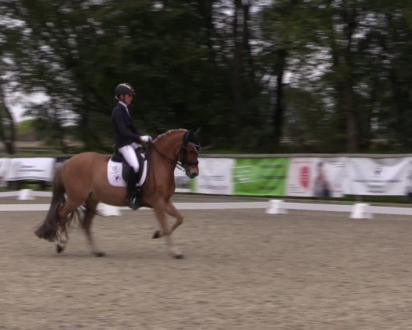 Reitturnier Ruhlsdorf 2024