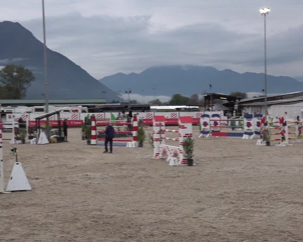 Reitturnier Giubiasco 2024