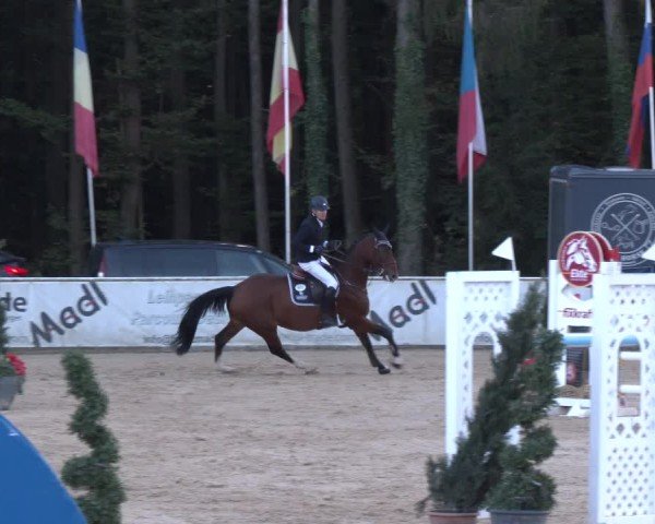 Reitturnier Ranshofen - Braunau am Inn 2024